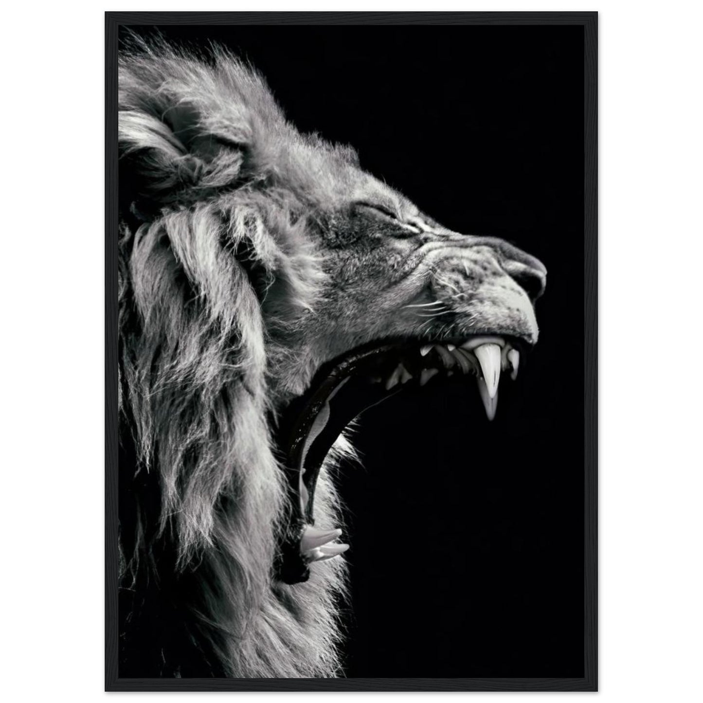 Lion - Roaring - Poster