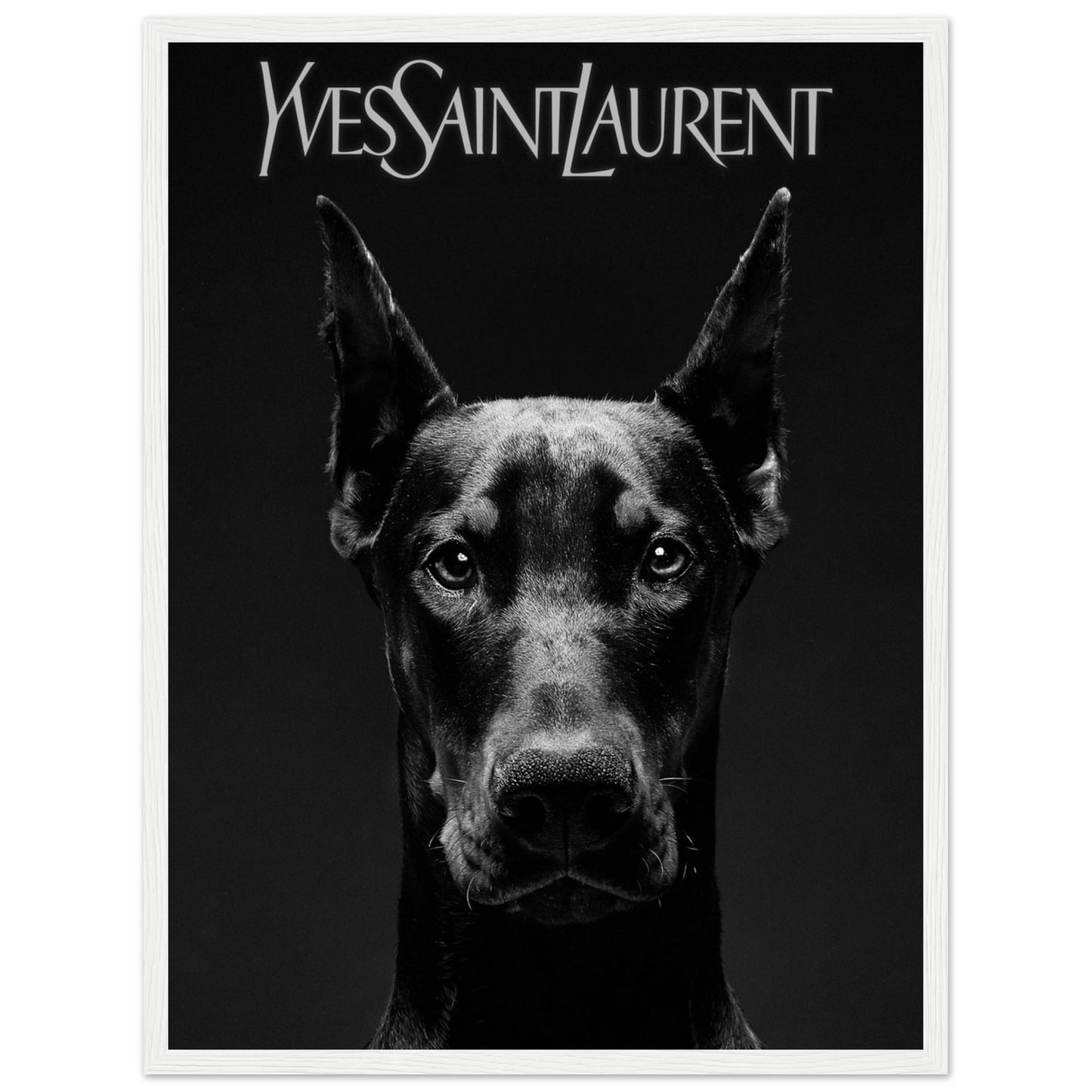 Doberman - Yves Saint Laurent