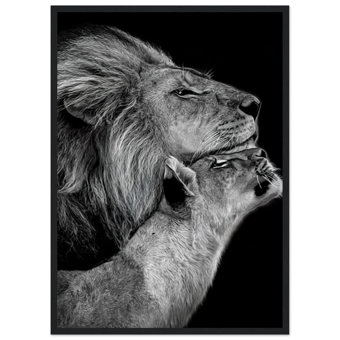 Lions - In Love - Poster