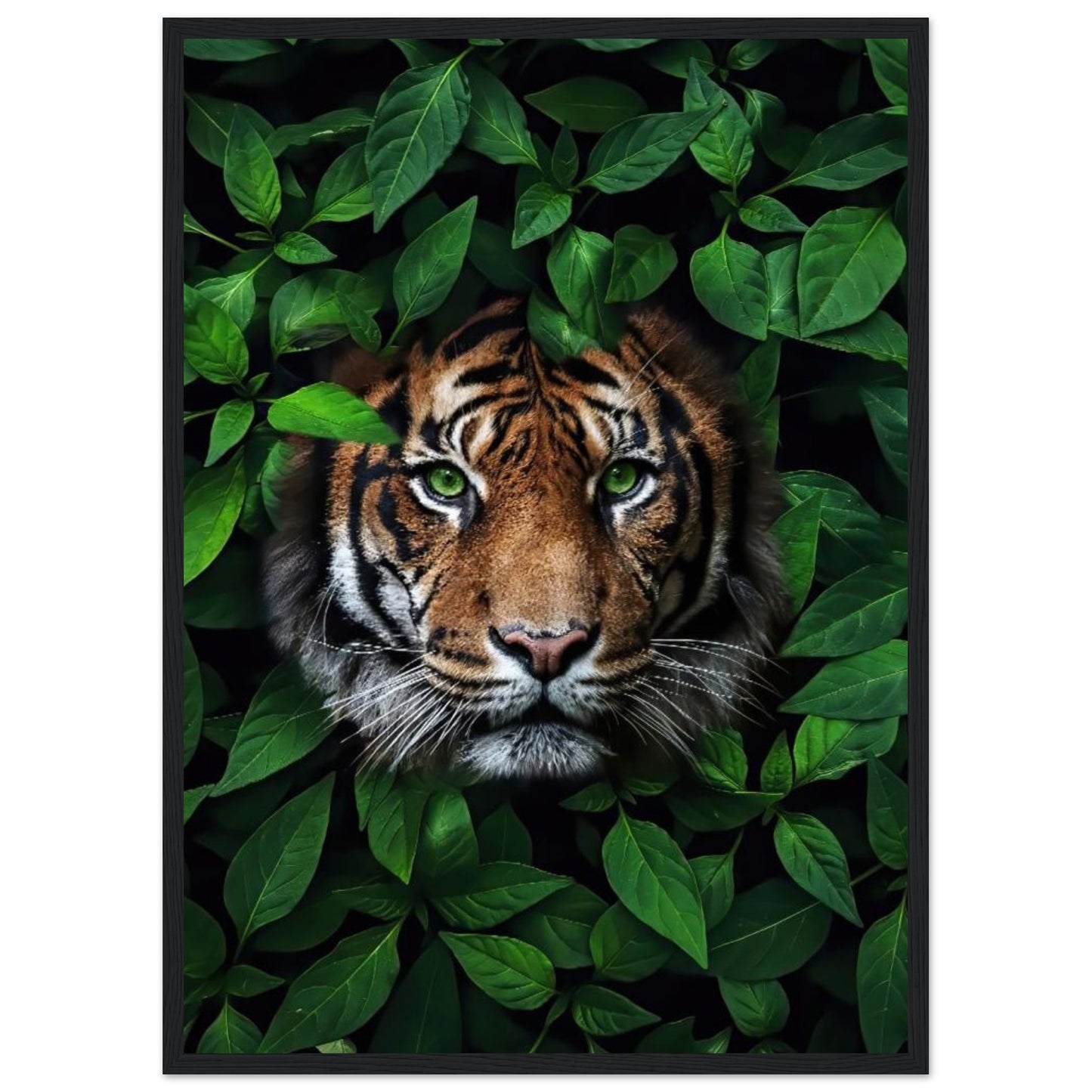 Tiger - In Green Leaves - Poster