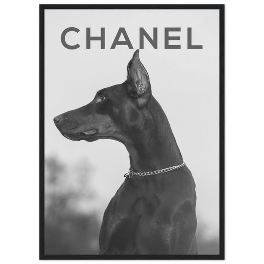 Chanel - Doberman - Poster