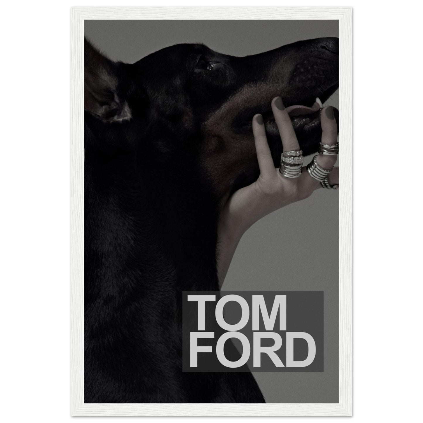 Tom Ford – Schwarzer Dobermann – Poster
