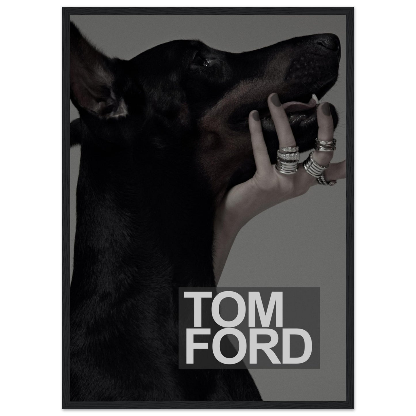 Tom Ford – Schwarzer Dobermann – Poster
