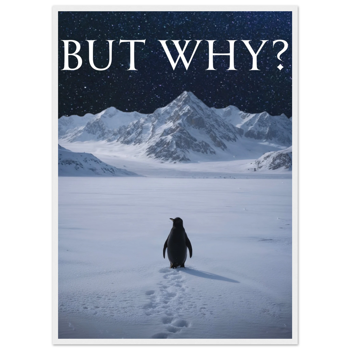 17686cb4-90d4-47ce-95a4-fea5d95dcfcc