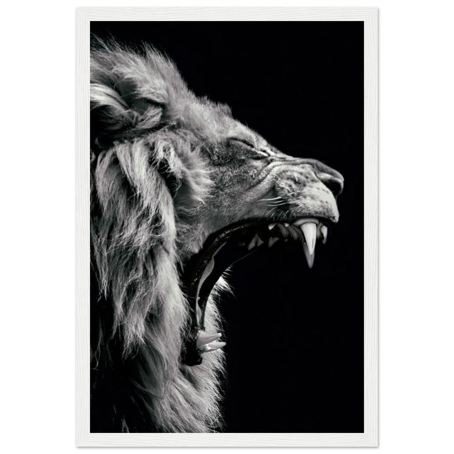 Lion - Roaring - Poster