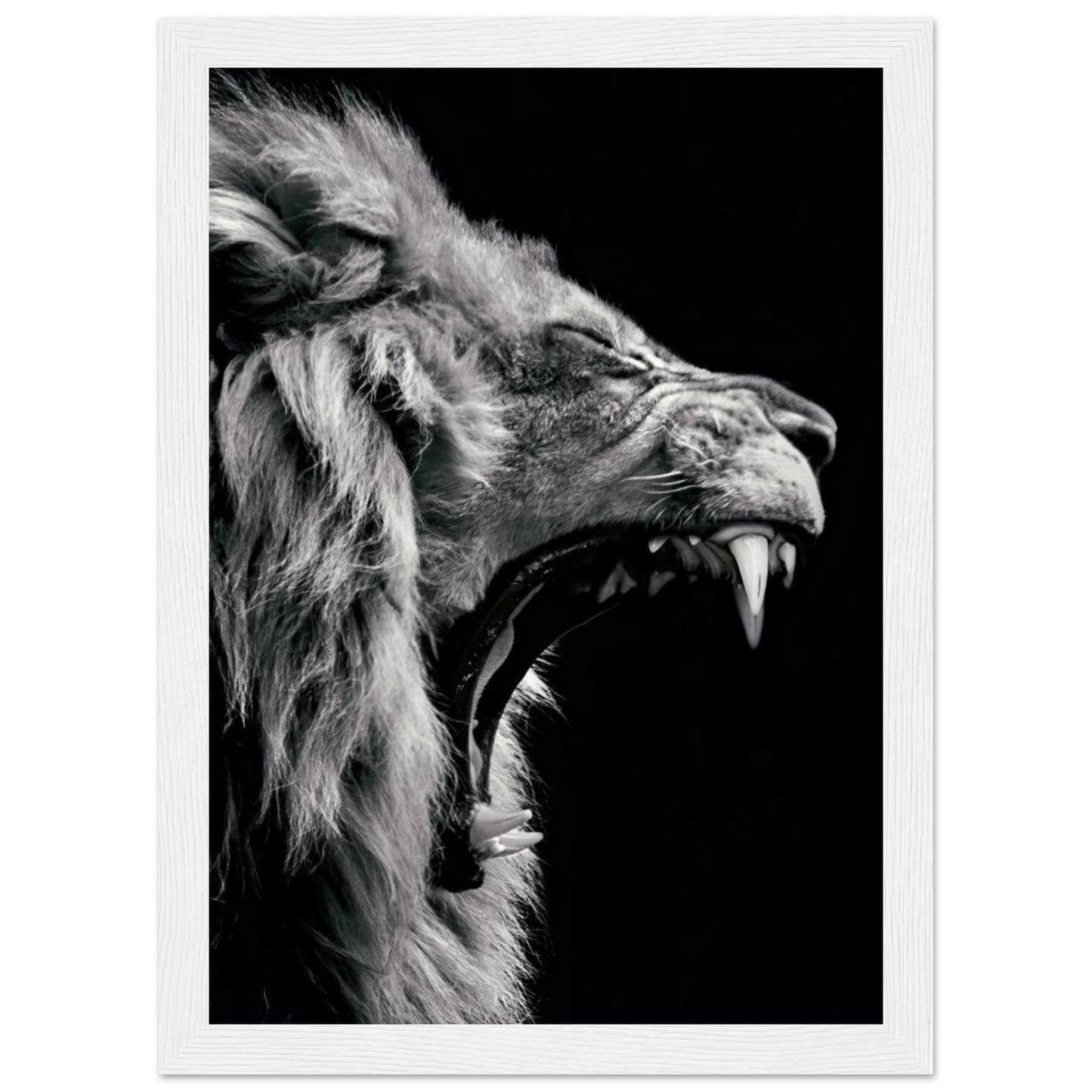 Lion - Roaring - Poster