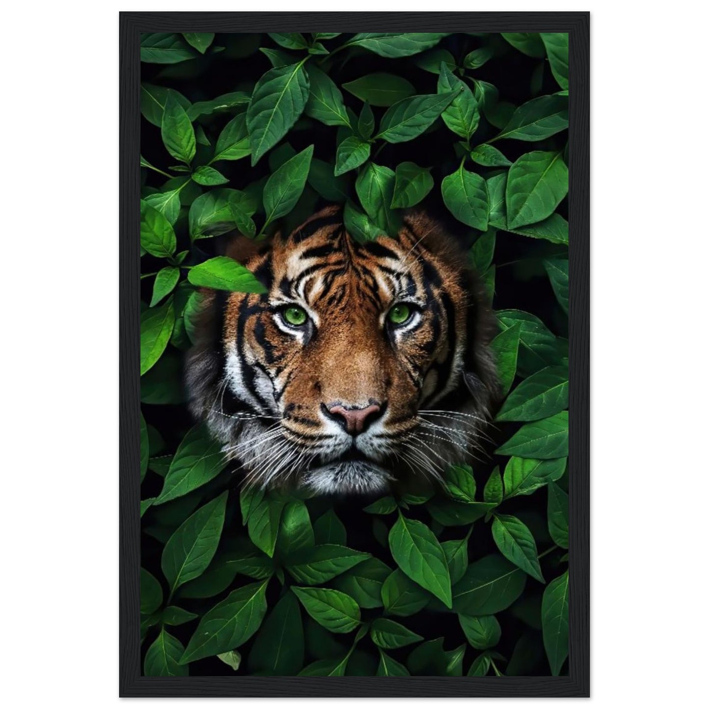 Tiger - In Green Leaves - Poster