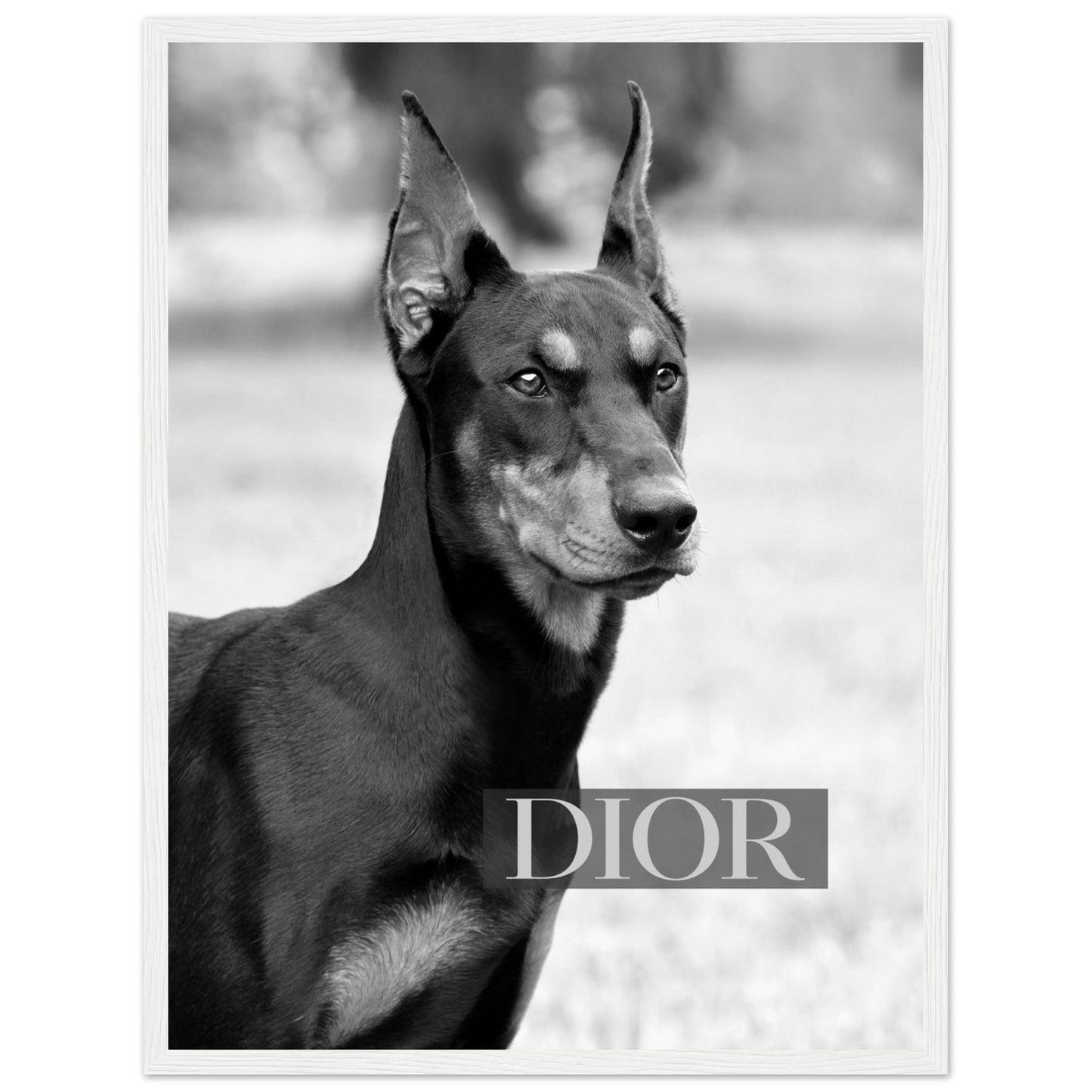 Dior - Black Doberman - Poster