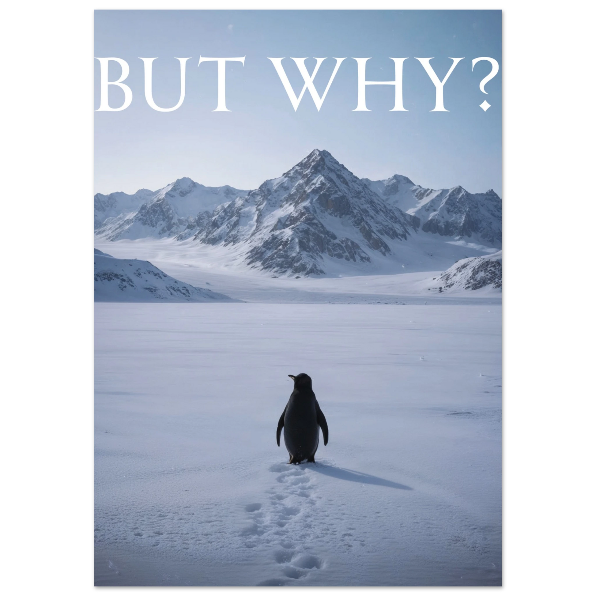 Nihilist Penguin – But Why? – Poster – Posters-4u