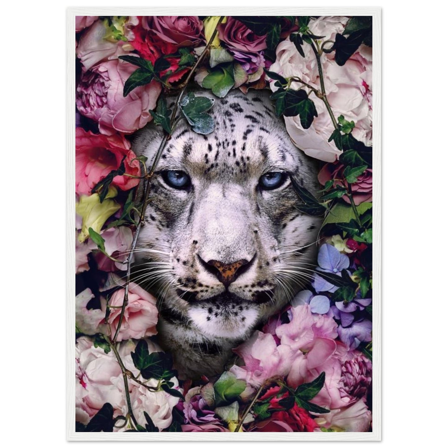 White Tiger - Animal - Poster