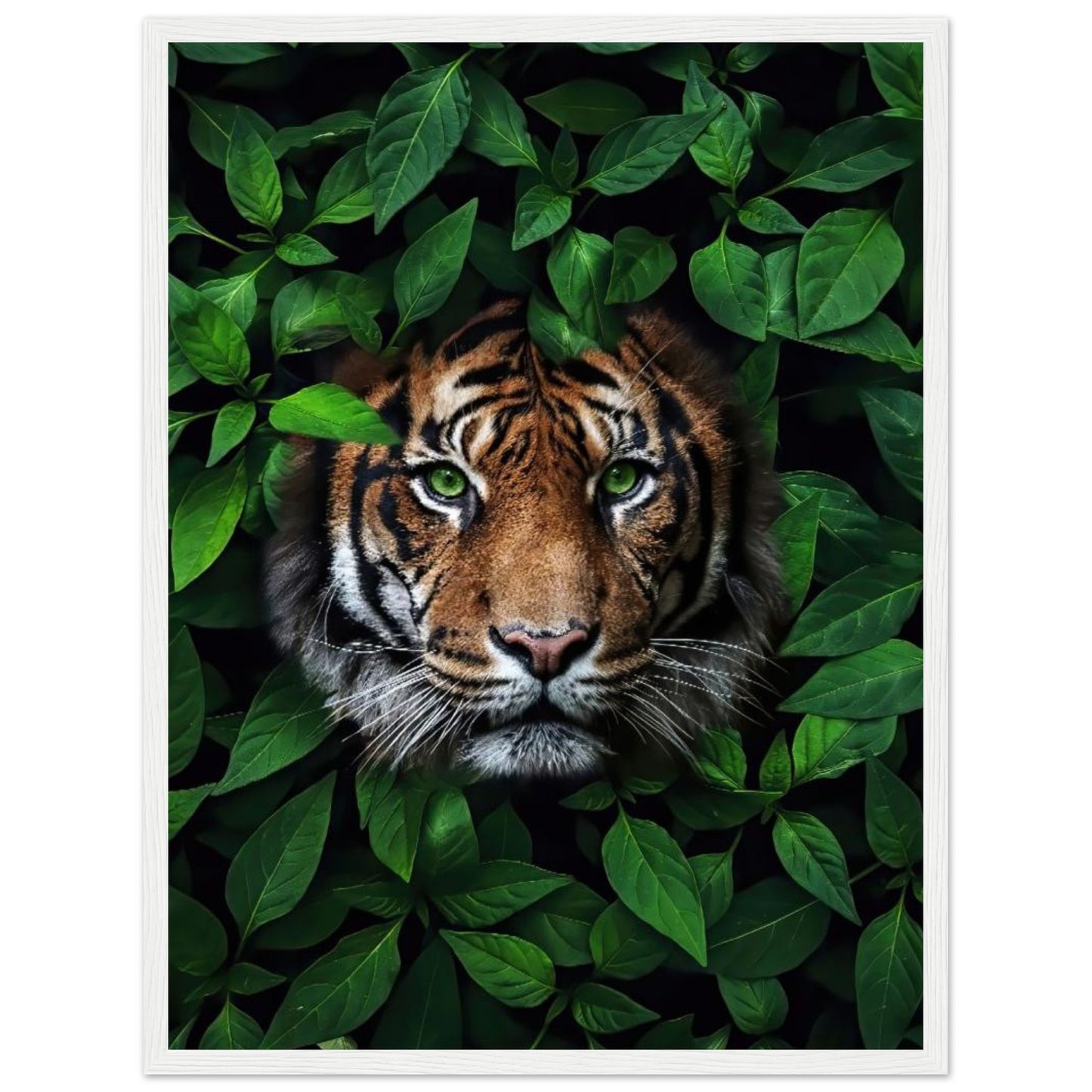 Tiger - In Green Leaves - Poster