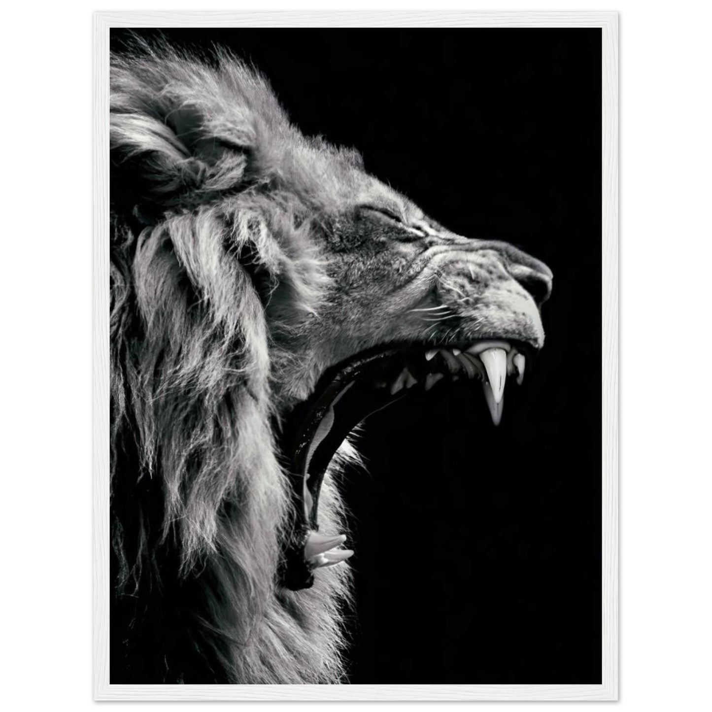 Lion - Roaring - Poster