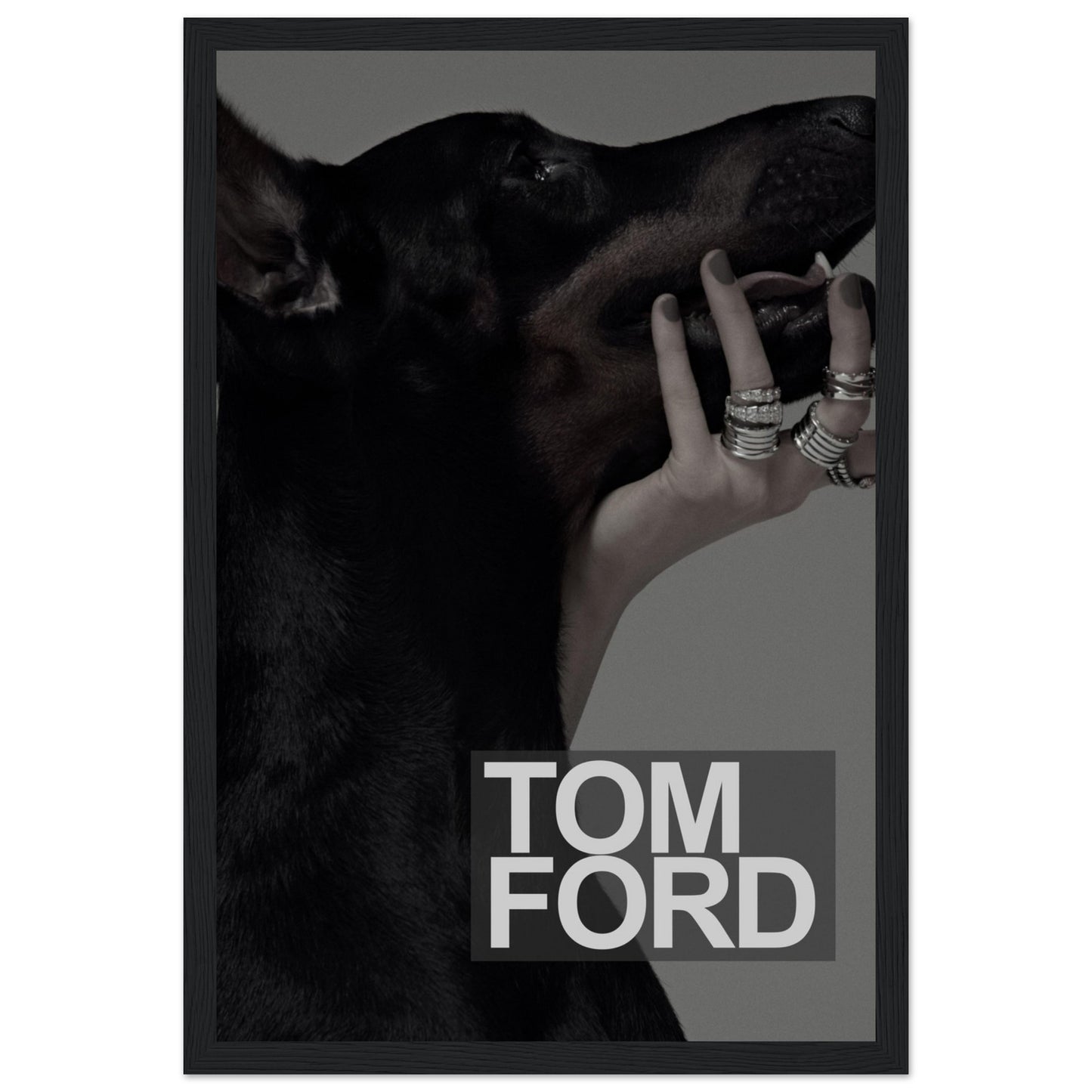 Tom Ford – Schwarzer Dobermann – Poster
