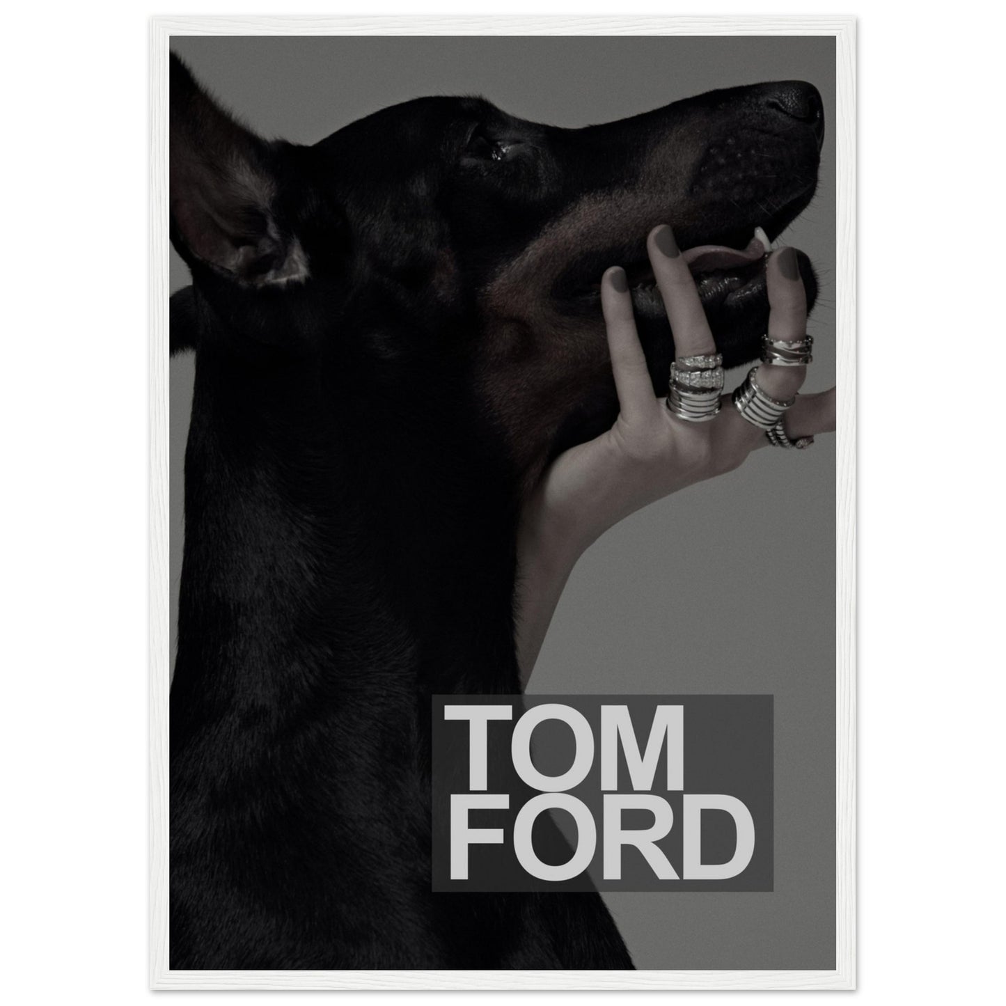 Tom Ford – Schwarzer Dobermann – Poster
