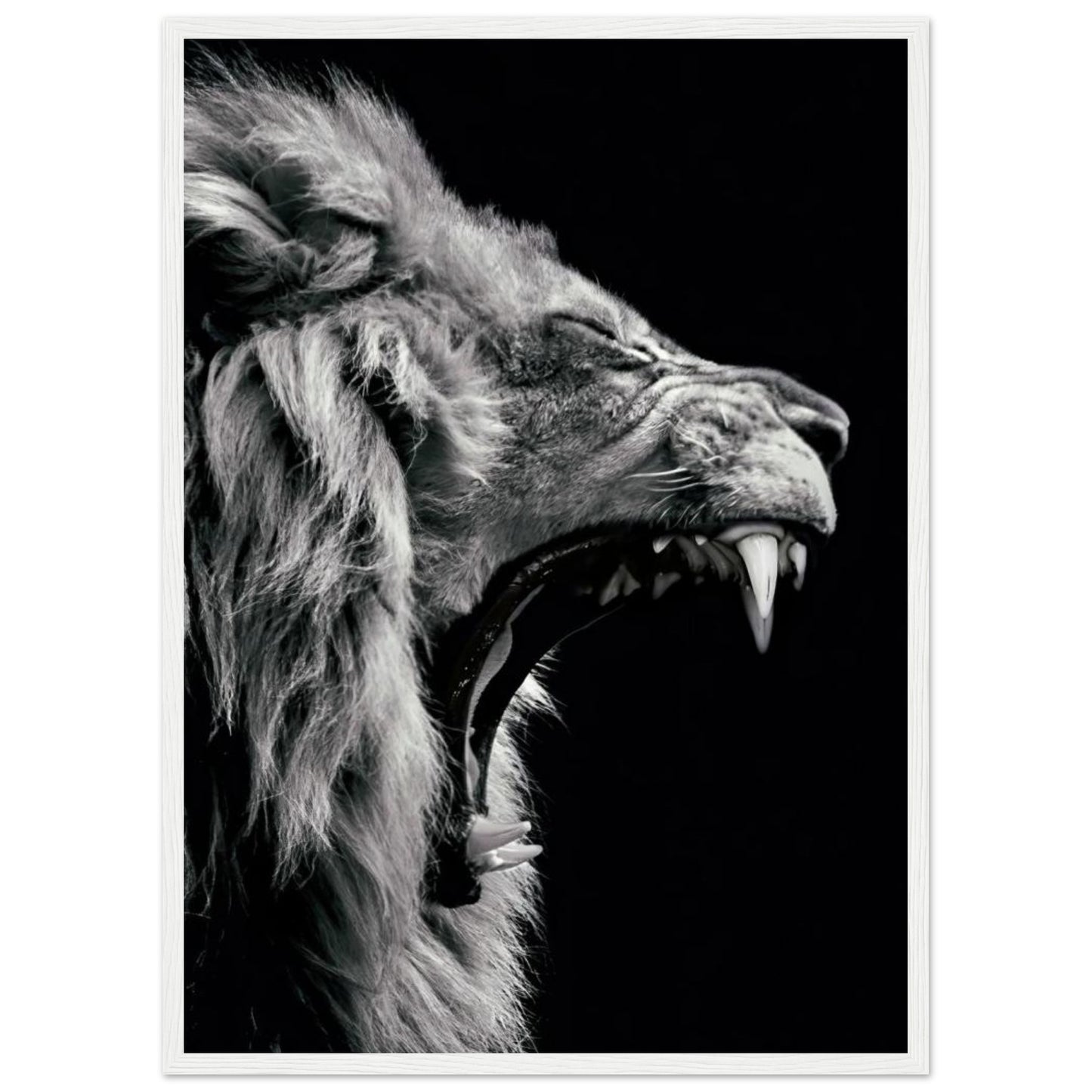 Lion - Roaring - Poster