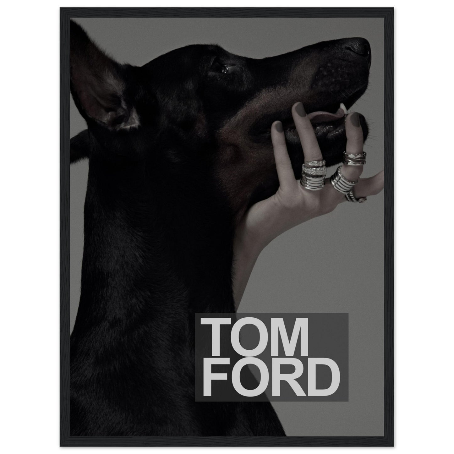 Tom Ford – Schwarzer Dobermann – Poster