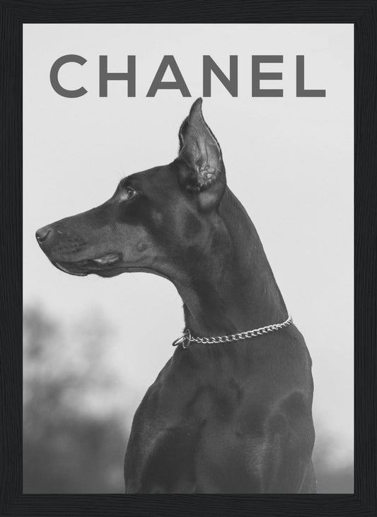 Chanel - Doberman - Poster