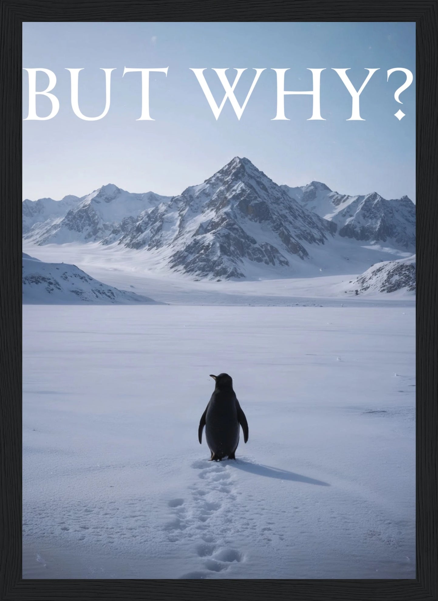 Nihilist Penguin – But Why? – Poster