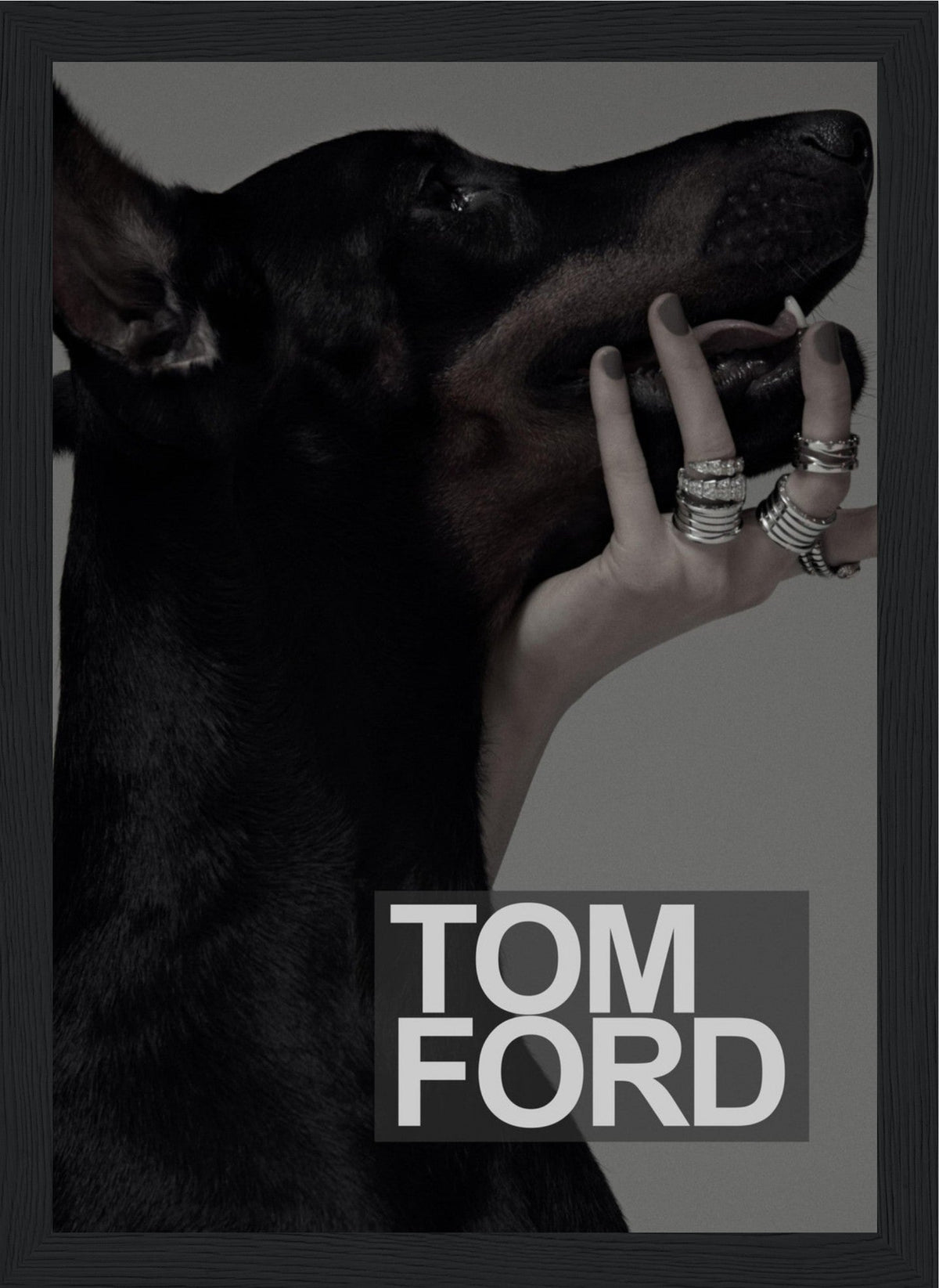 Tom Ford - Black Doberman - Poster