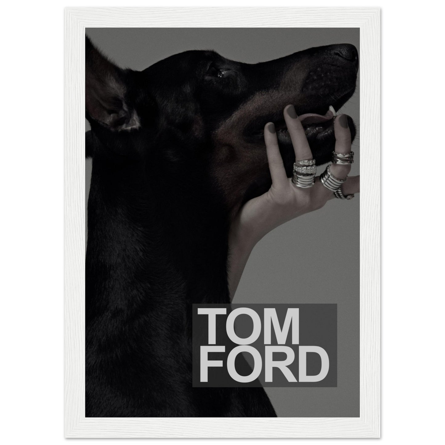 Tom Ford – Schwarzer Dobermann – Poster