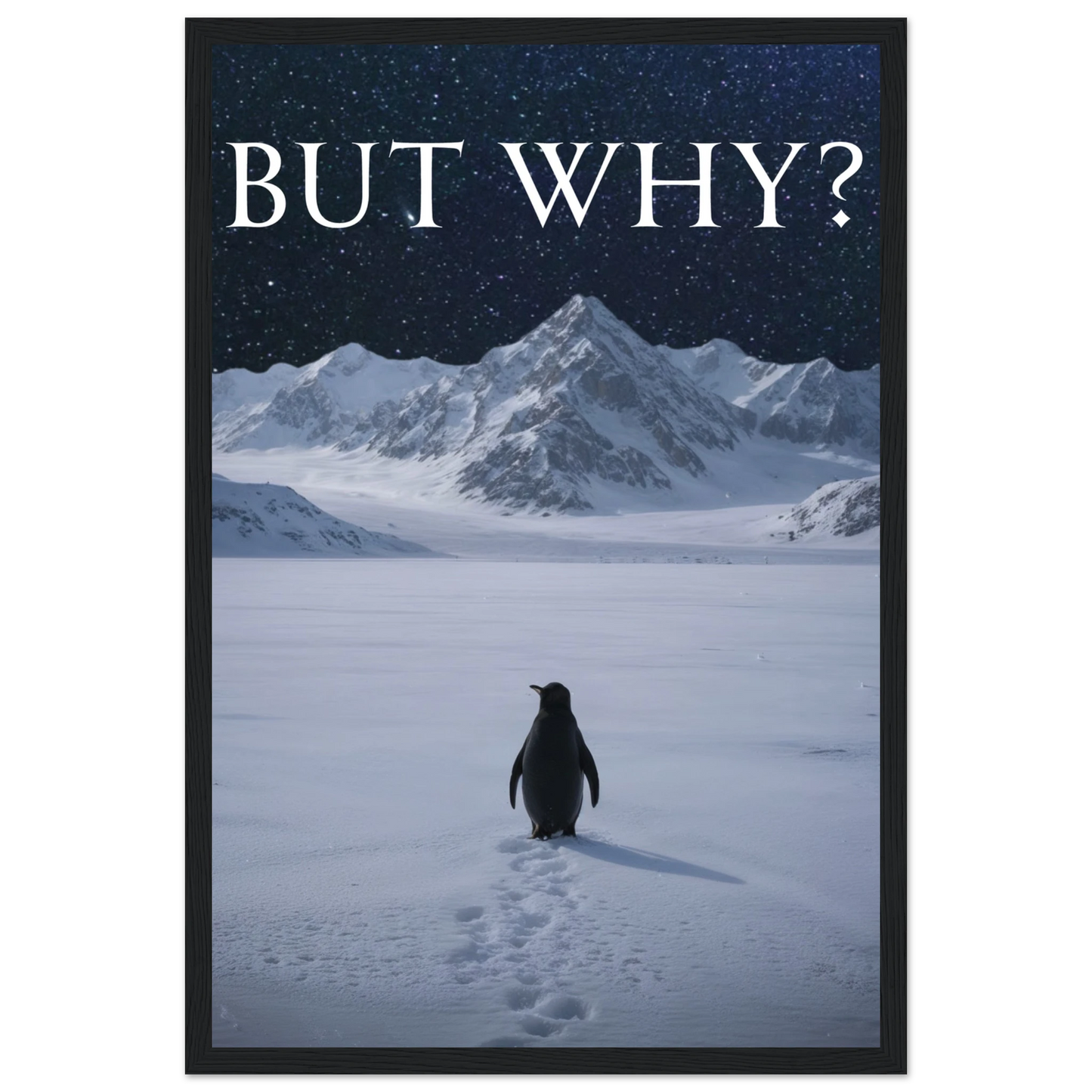 c4dddcc6-72ba-4d2e-b9d5-e62fccf3f5f2